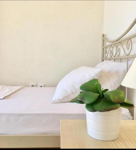 Mykonos Dot - The Villas Mykonos Town Eksteriør billede